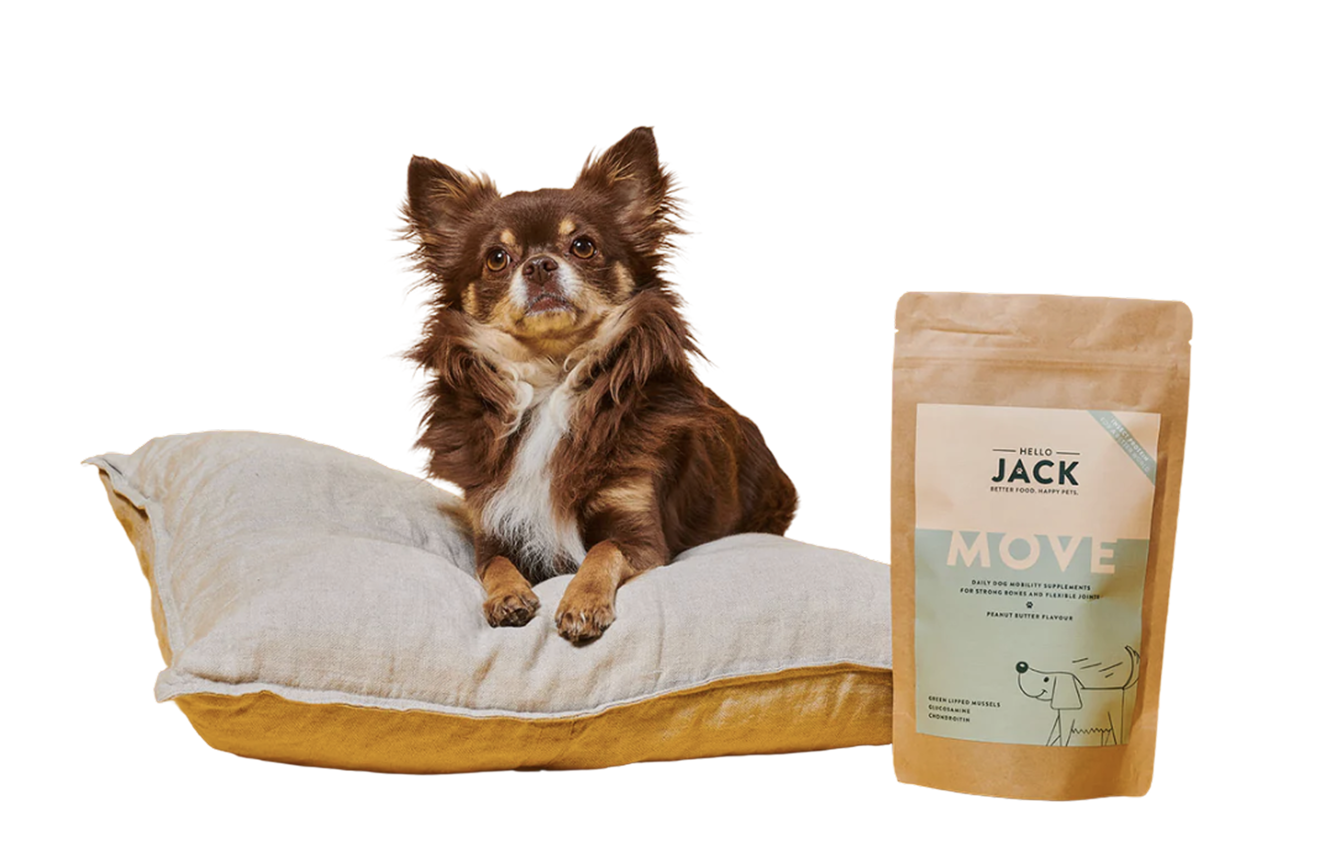 Dog and Product