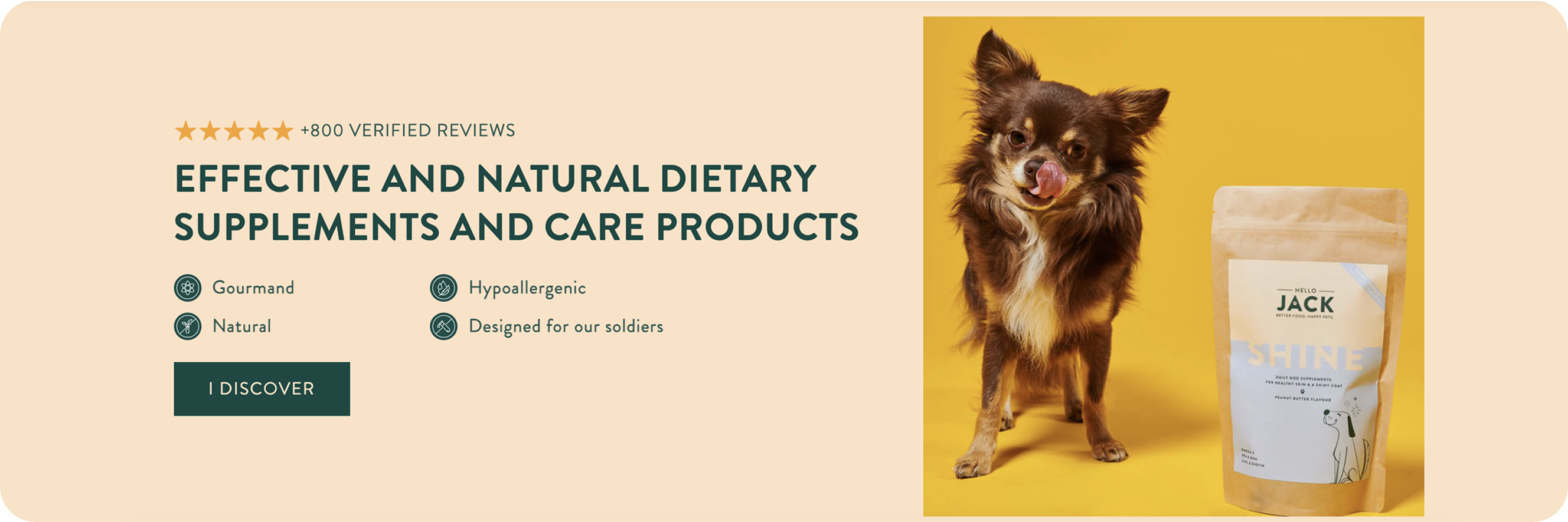 Analuisa Lifestyle Banner